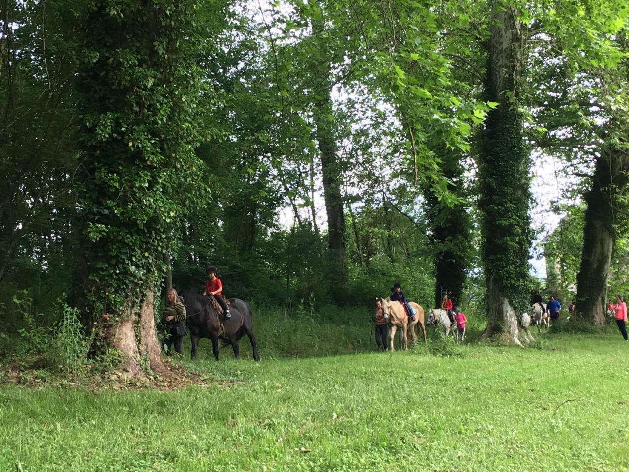 Camping Parc D'Audinac Les Bains Hotel Saint-Girons  Kültér fotó